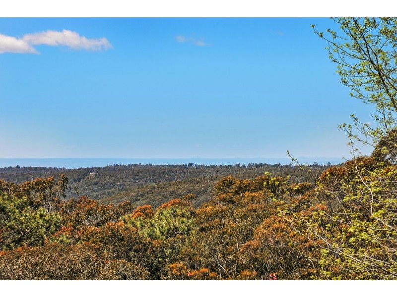 36 Taylor Avenue, Wentworth Falls NSW 2782