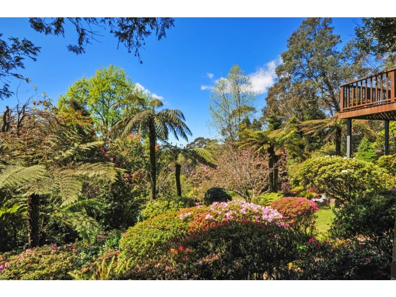 36 Taylor Avenue, Wentworth Falls NSW 2782