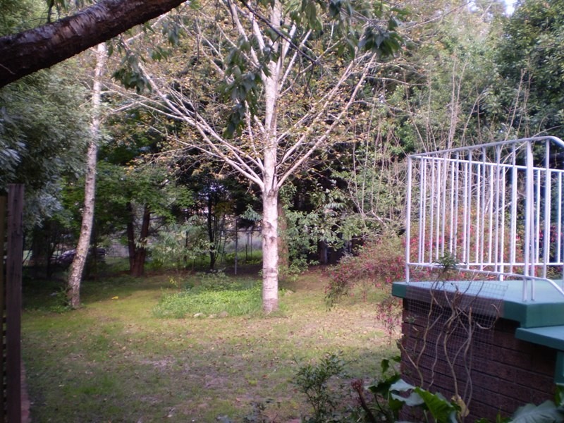15 Wentworth St, Leura NSW 2780
