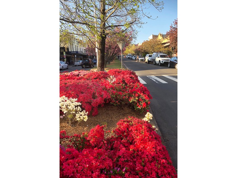 151 The Mall, Leura NSW 2780