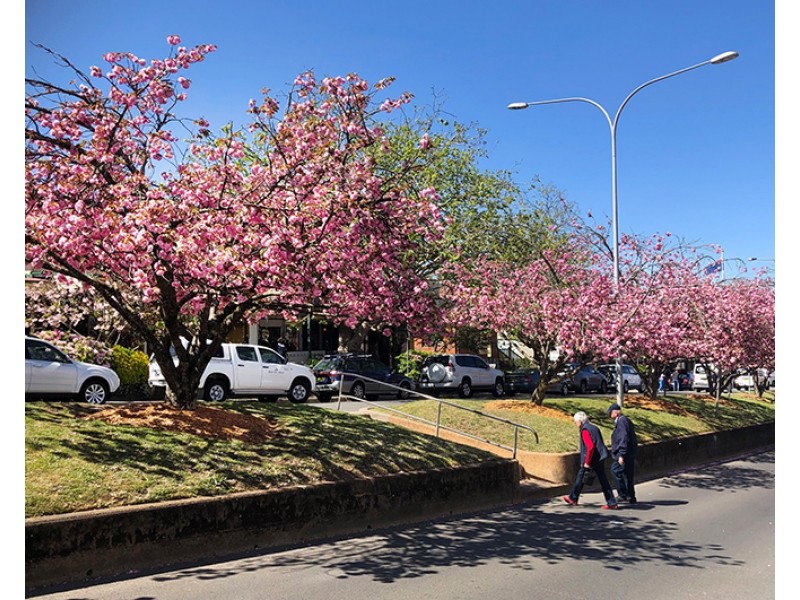 132 Leura Mall, Leura NSW 2780