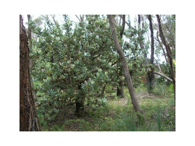 333 Cliff Drive, Katoomba NSW 2780