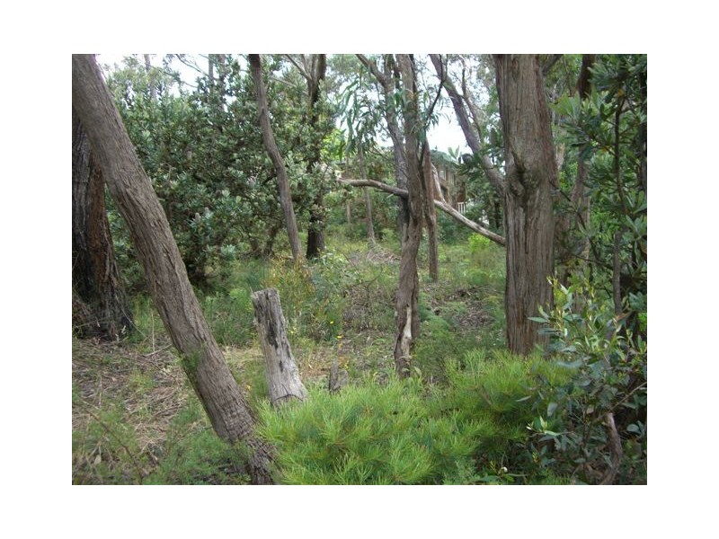 333 Cliff Drive, Katoomba NSW 2780