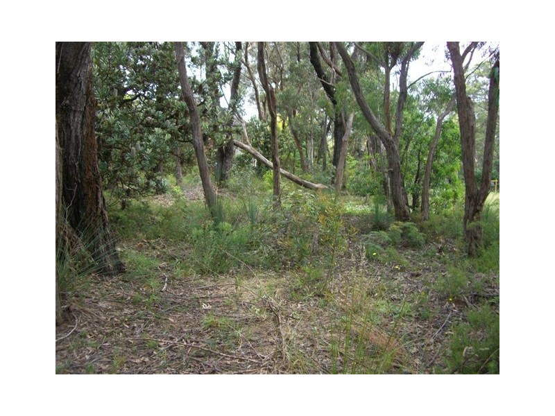 333 Cliff Drive, Katoomba NSW 2780