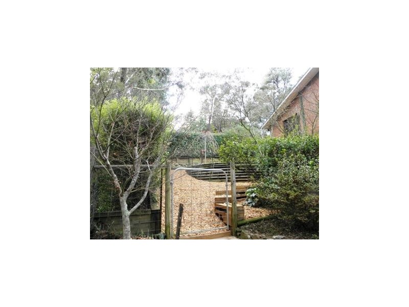 Wentworth Falls NSW 2782