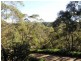 Wentworth Falls NSW 2782