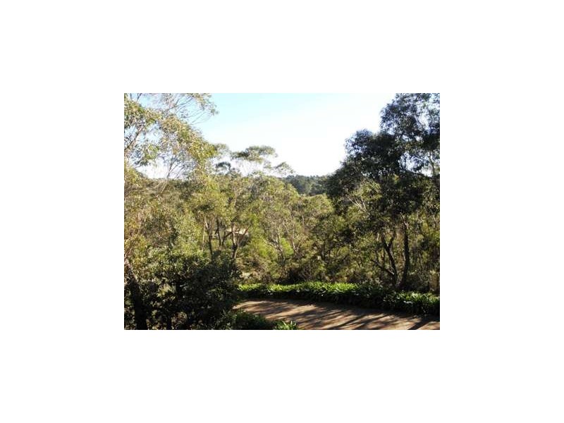Wentworth Falls NSW 2782