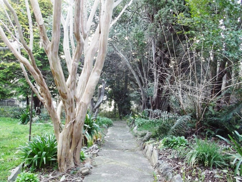 39 Freelander Avenue, Katoomba NSW 2780