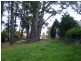 Wentworth Falls NSW 2782