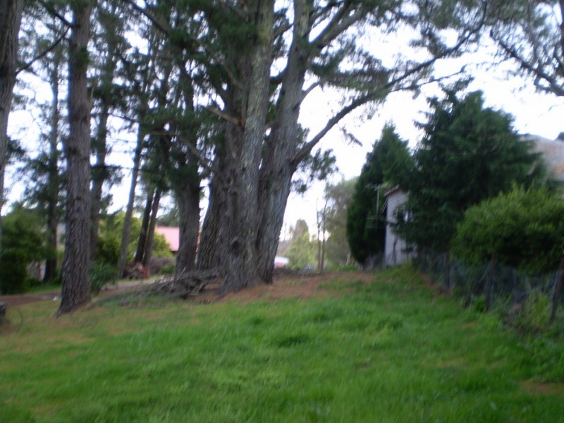 Wentworth Falls NSW 2782