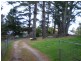 Wentworth Falls NSW 2782