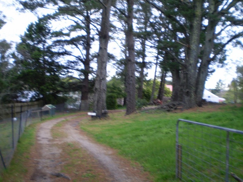 Wentworth Falls NSW 2782