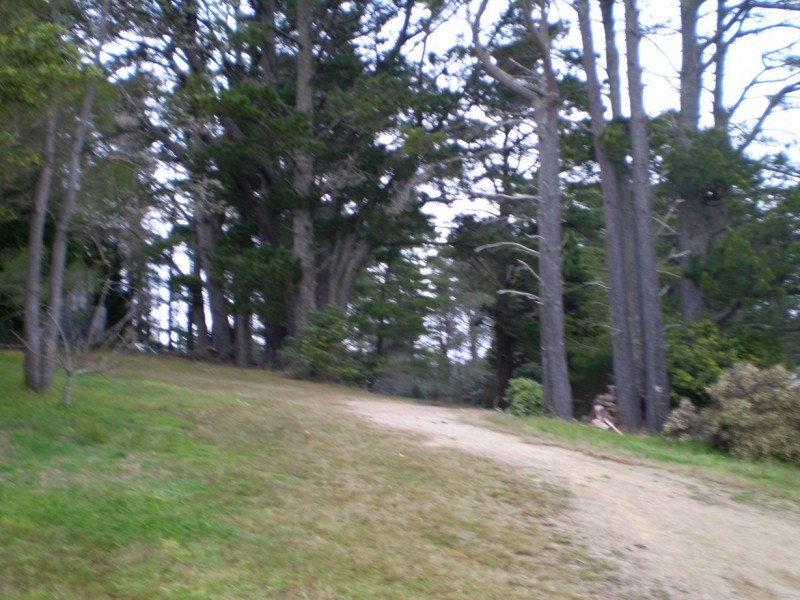 Wentworth Falls NSW 2782