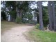 Wentworth Falls NSW 2782