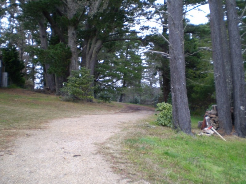 Wentworth Falls NSW 2782