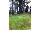 Wentworth Falls NSW 2782