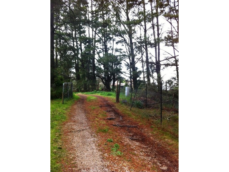 Wentworth Falls NSW 2782