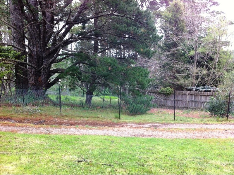 Wentworth Falls NSW 2782