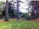 Wentworth Falls NSW 2782