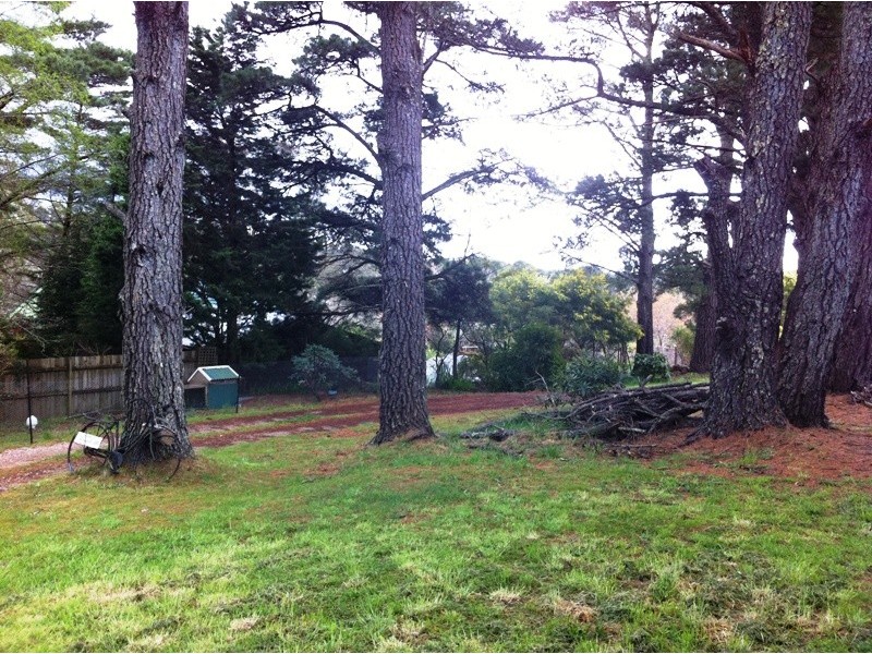 Wentworth Falls NSW 2782