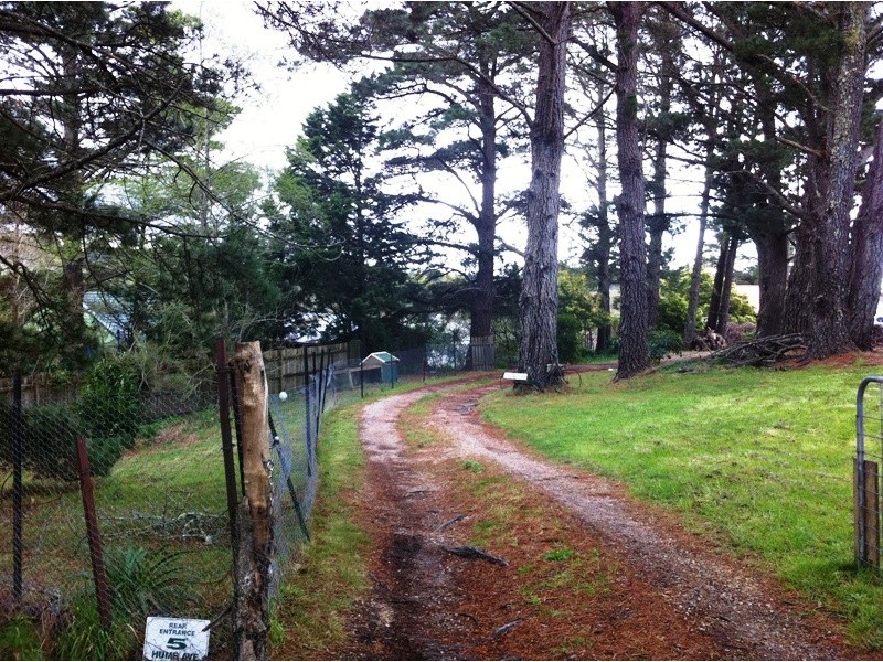 Wentworth Falls NSW 2782