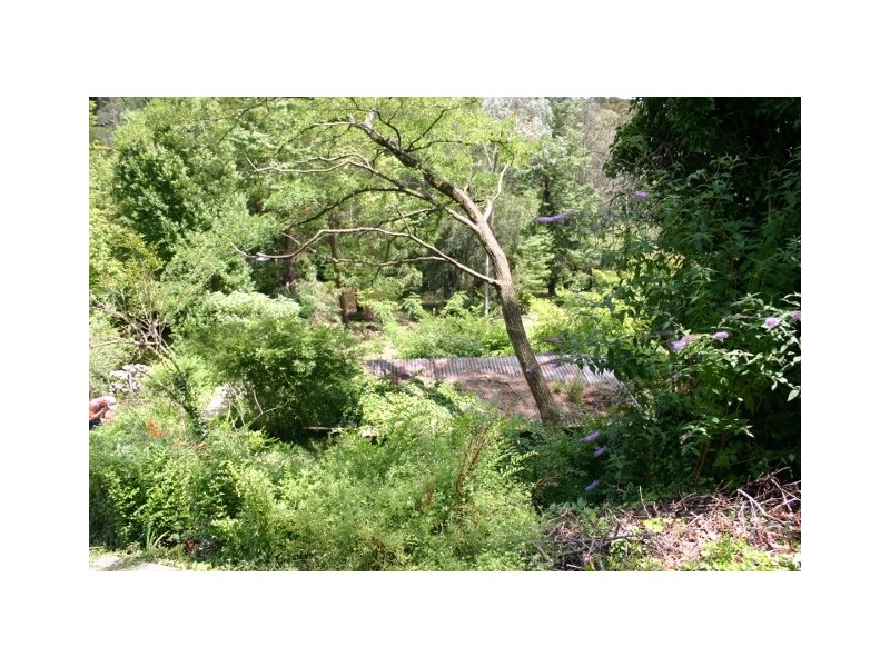 7 Freelander Avenue, Katoomba NSW 2780