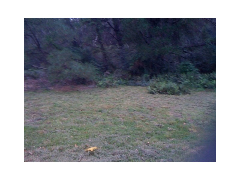 7 Sinclair Crescent, Wentworth Falls NSW 2782
