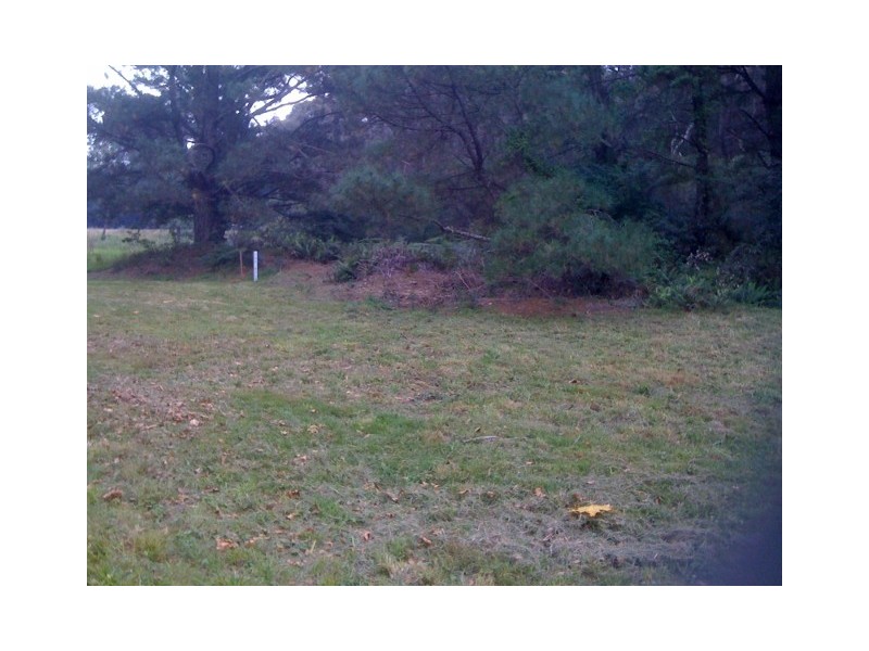 7 Sinclair Crescent, Wentworth Falls NSW 2782