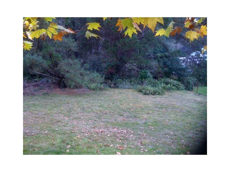 7 Sinclair Crescent, Wentworth Falls NSW 2782