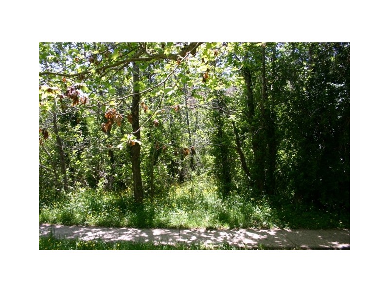 15 Sinclair Crescent, Wentworth Falls NSW 2782