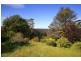 Wentworth Falls NSW 2782