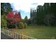 Wentworth Falls NSW 2782