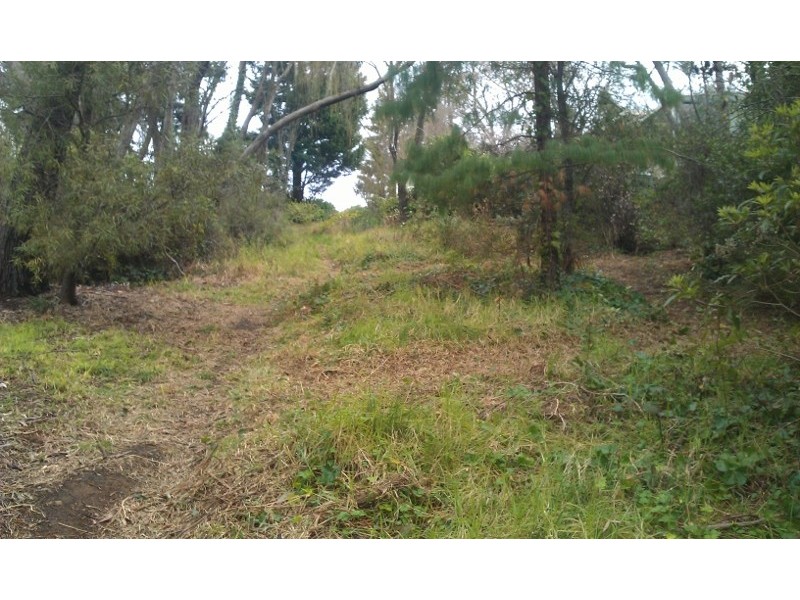 45 Fitzroy Street, Leura NSW 2780