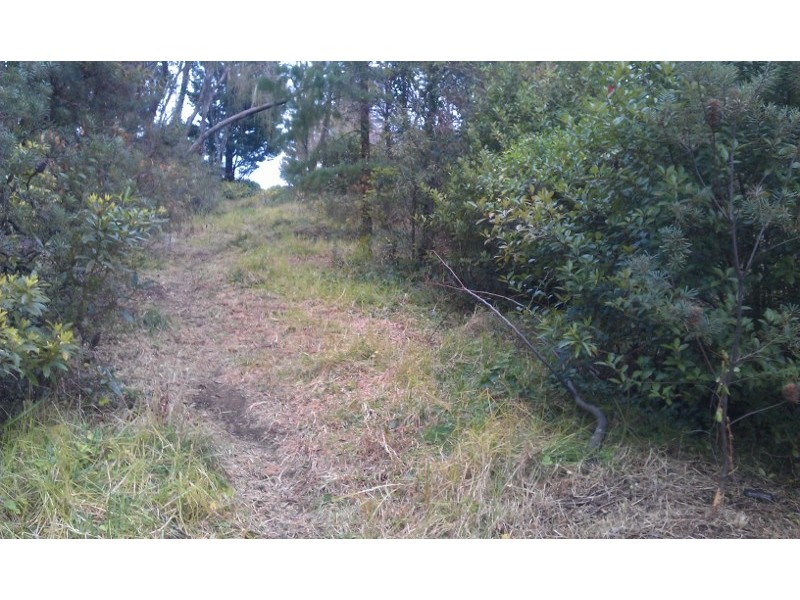 45 Fitzroy Street, Leura NSW 2780