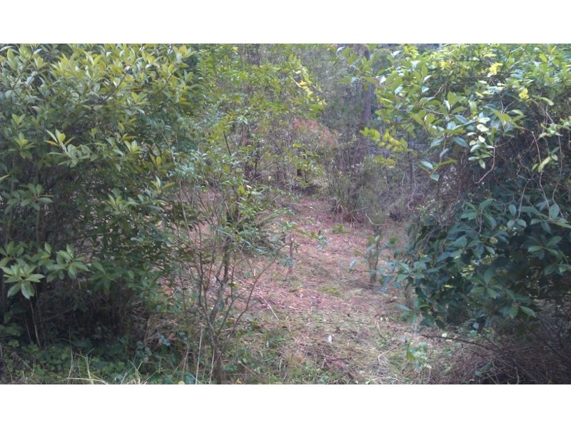 45 Fitzroy Street, Leura NSW 2780