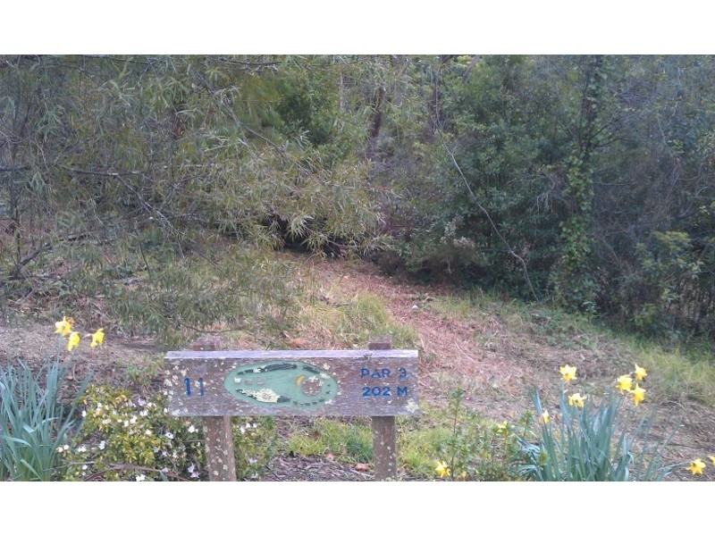 45 Fitzroy Street, Leura NSW 2780