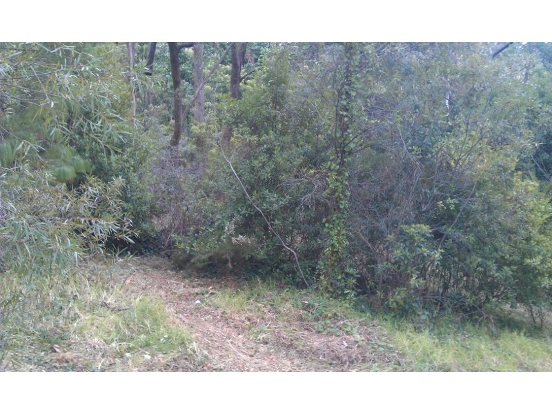 45 Fitzroy Street, Leura NSW 2780