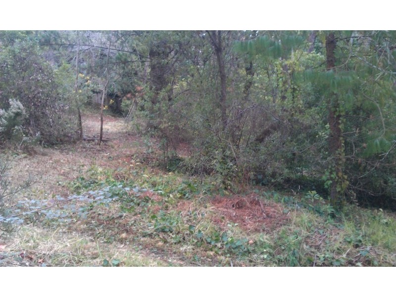 45 Fitzroy Street, Leura NSW 2780