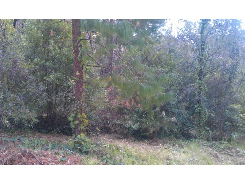 45 Fitzroy Street, Leura NSW 2780