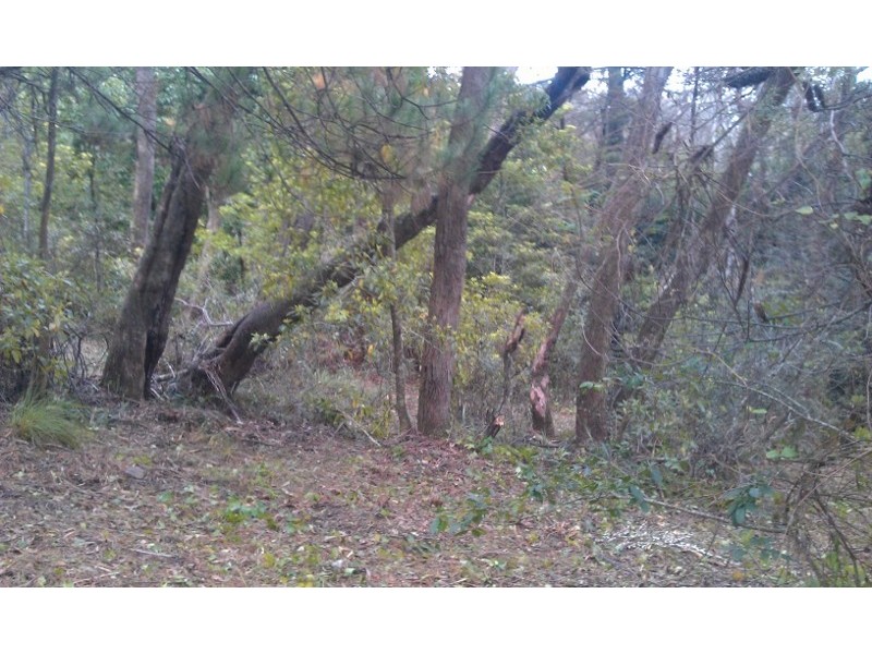 45 Fitzroy Street, Leura NSW 2780