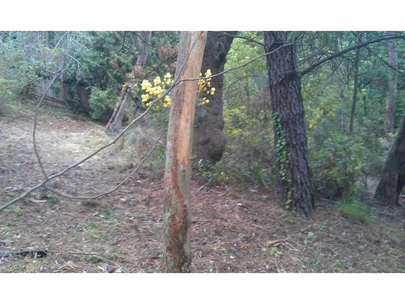 45 Fitzroy Street, Leura NSW 2780