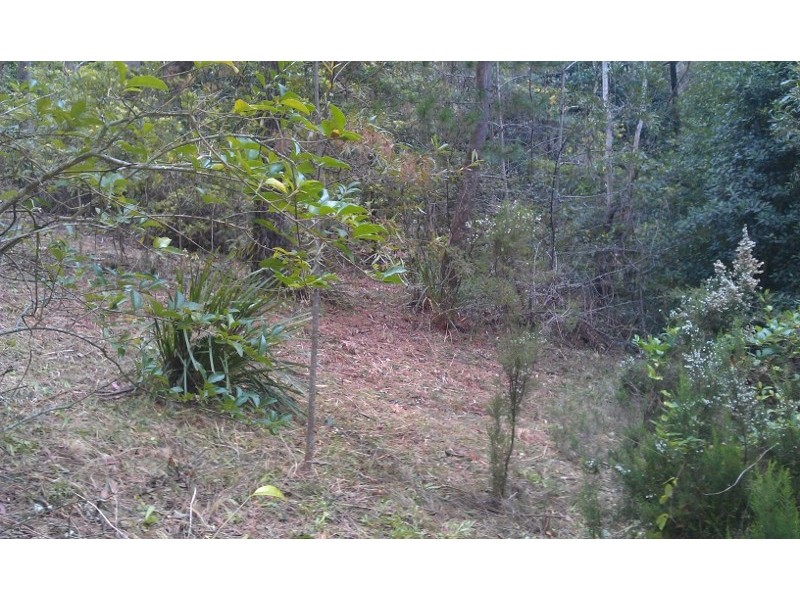 45 Fitzroy Street, Leura NSW 2780