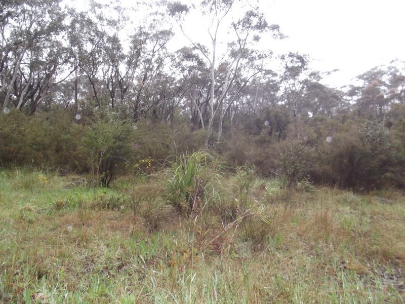 106 Rawson Parade, Leura NSW 2780