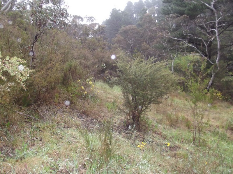 106 Rawson Parade, Leura NSW 2780