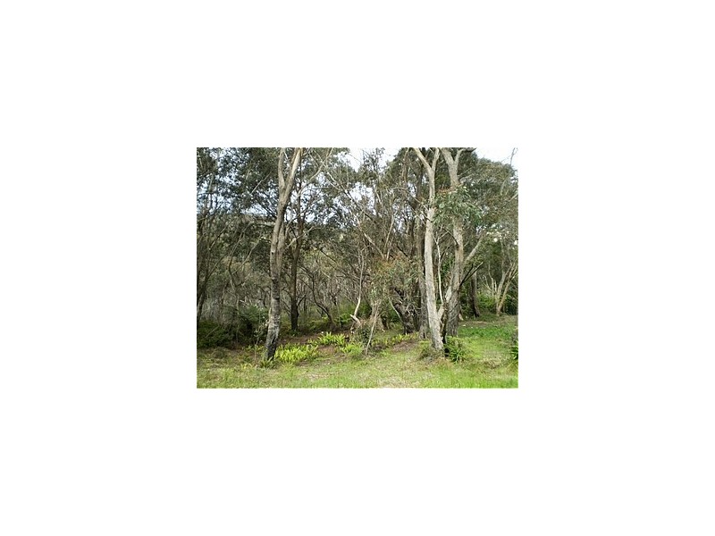 5 Mount Hay Road, Leura NSW 2780