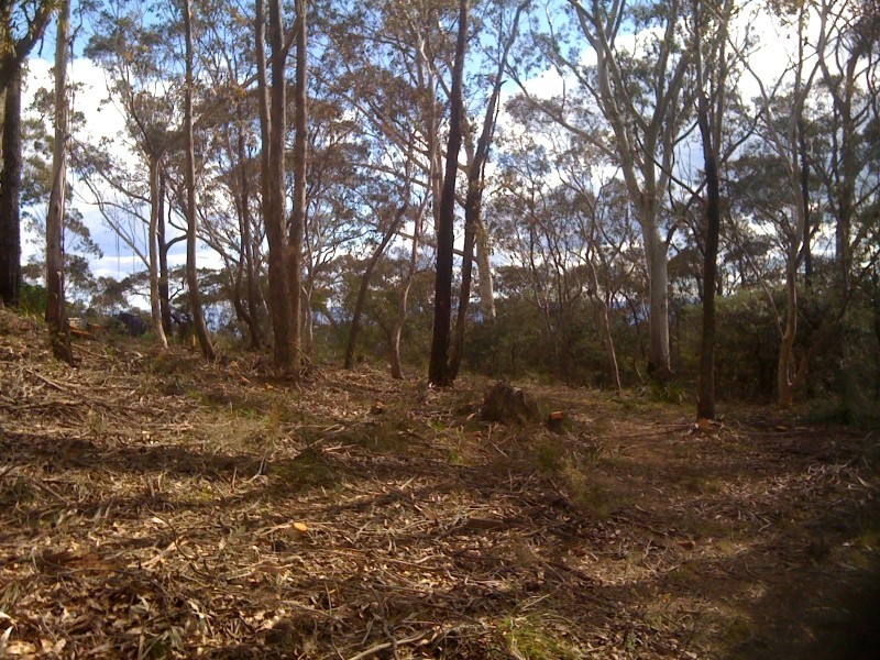 25 Foy Avenue, Medlow Bath NSW 2780