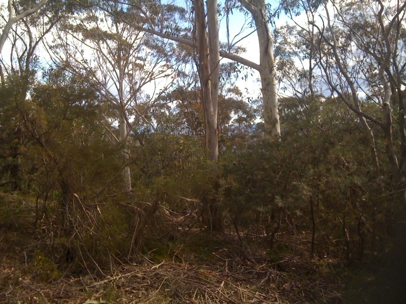 25 Foy Avenue, Medlow Bath NSW 2780