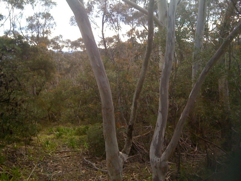 25 Foy Avenue, Medlow Bath NSW 2780