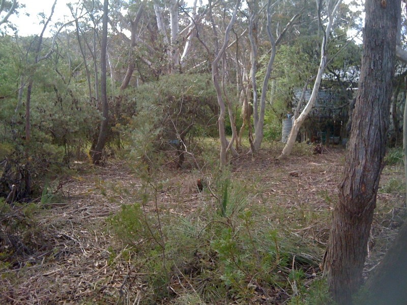 25 Foy Avenue, Medlow Bath NSW 2780