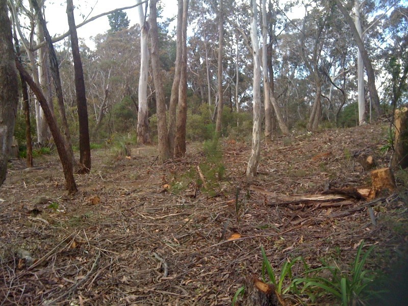 25 Foy Avenue, Medlow Bath NSW 2780